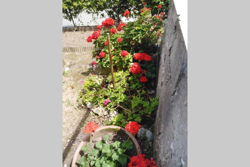 Appartamento Moneghetti Beausoleil Esterno foto
