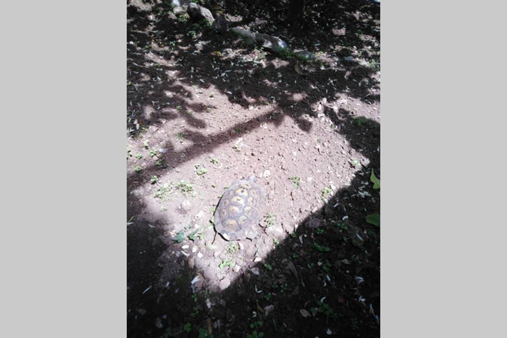 Appartamento Moneghetti Beausoleil Esterno foto