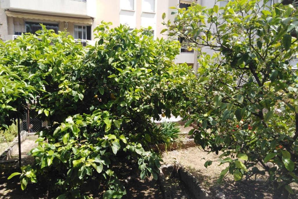 Appartamento Moneghetti Beausoleil Esterno foto